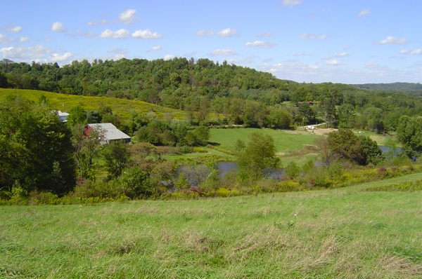 Taproot Farm